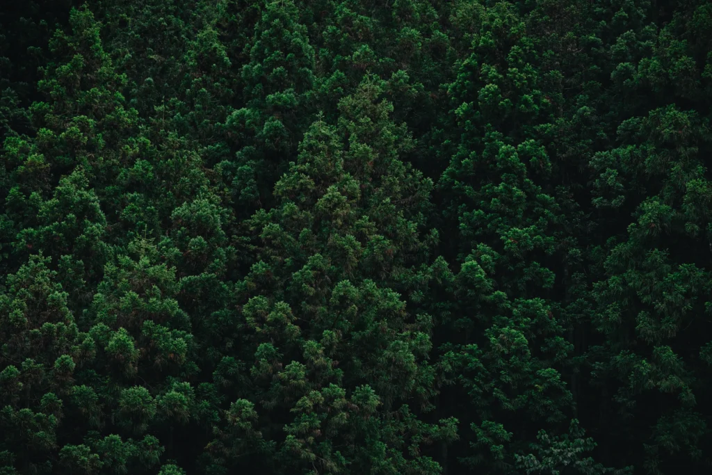 風景